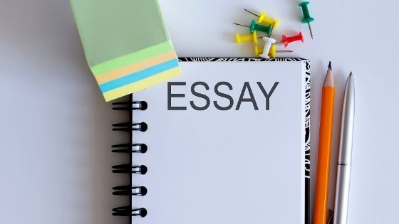 academic essay