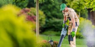 Bendigo garden clean up services