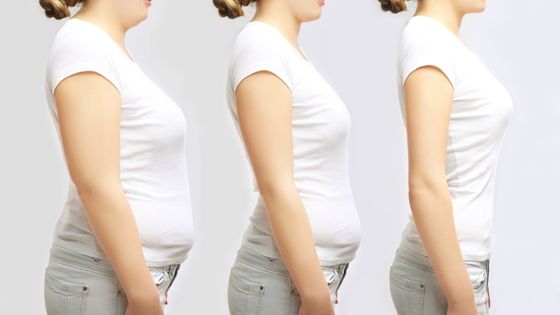 Online Weight Loss Program