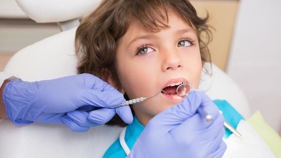 Pediatric Dentist