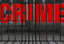 Why Good Crime Documentaries is The Best Option