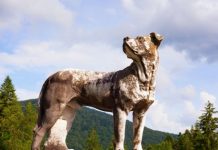 custom made dog statues