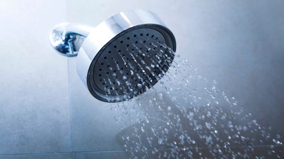 wall mounted rain shower head