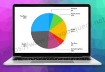 Apple Music Pie Chart