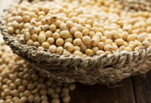 5 Major Advantages of the Global Soy Supply Chain