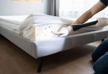 The Dangers of Bed Bugs and the Importance of Removal
