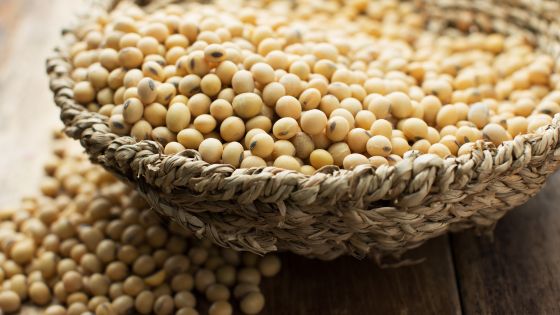 5 Major Advantages of the Global Soy Supply Chain