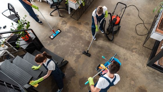 integrating interior cleanliness with exterior drainage health